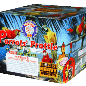 Brothers Parrots’ Prattle - 36 Shot
