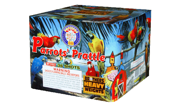 Brothers Parrots’ Prattle - 36 Shot